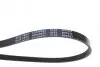 Ремінь генератора Suzuki Swift 1.0i 95-05/ Honda Civic 1.4-1.6 94-01/ Nissan Primera1.6-2.0 96-02 BLUE PRINT AD04R823 (фото 3)