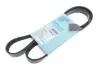 Ремень генератора Fiat Palio 1.2 97-/Land Rover Freelander 1.8i 98-06/ Toyota Corolla 2.0 D-4D 97-04 BLUE PRINT AD05R1188 (фото 1)