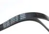 Ремень генератора Fiat Palio 1.2 97-/Land Rover Freelander 1.8i 98-06/ Toyota Corolla 2.0 D-4D 97-04 BLUE PRINT AD05R1188 (фото 2)