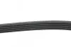 Ремінь генератора Hyundai i20/ i30 1.4 08-/ Toyota Avensis/ Carina 2.0 96-03 BLUE PRINT AD05R1212 (фото 2)