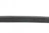 Ремень генератора BMW 3 (E46)/ X5 (E53)/ 5 (E39) 2.5D-3.0D 98-06/ Land Rover Range Rover 3.0 D 02-12 BLUE PRINT AD05R810 (фото 2)