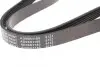 Ремінь генератора Fiat Doblo 1.3D Multijet/ Ducato 2.0JTD 01-/ VW Caddy/ Ford Fiesta 1.25-1.6 95- BLUE PRINT AD06R1180 (фото 4)