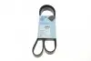 Ремінь генератора Renault Kangoo 1.5 dCi/ Citroen C5/ C6/ C8/ Xantia/ XM Break 2.0-2.2 92- BLUE PRINT AD06R1200 (фото 1)
