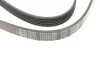 Ремінь генератора VW Golf/VW Bora 2.3 -00/ Hyundai i30/ i40 2.0 CRDi/GDI 07- BLUE PRINT AD06R1285 (фото 3)
