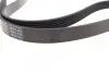 Ремінь генератора Citroen Berlingo/Fiat Scudo 1.9D 68/ Ford Fiesta/ Mitsubishi Lancer 1.3-2.0 95-03 BLUE PRINT AD06R1435 (фото 2)