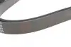 Ремінь генератора VW LT 2.8TDI/ Suzuki Grand Vitara 2.0 HDI 01-05/ Audi 80/ A6/ A8 2.6-2.8 91- 97 BLUE PRINT AD06R1636 (фото 4)