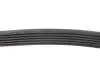 Ремінь генератора VW LT 2.5TDI -06/T4 2.5 91-03/Ford Connect 1.8 TDCi 02-07/ Opel Astra 1.7 07- BLUE PRINT AD06R1718 (фото 2)