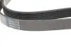 Ремінь генератора VW LT 2.5TDI -06/T4 2.5 91-03/Ford Connect 1.8 TDCi 02-07/ Opel Astra 1.7 07- BLUE PRINT AD06R1718 (фото 3)