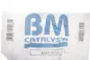 Фильтр сажевый VW T5 2.5TDI 03-09 (Евро 3-4) BM CATALYSTS BM11033 (фото 2)
