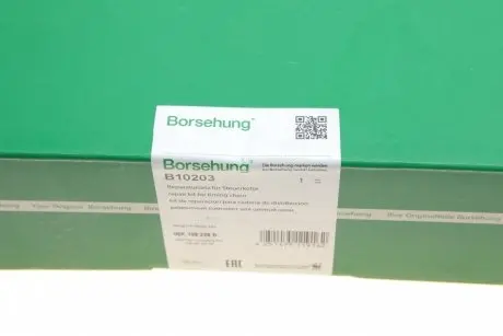 Ремонтний комплект ланцюга ГРМ Borsehung B10203