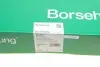 К-кт ланцюга привідного грм Borsehung B10217 (фото 1)