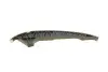 Комплект ланцюга ГРМ Audi A3/A4/Skoda Octavia/Superb/VW Golf 1.8-2.0TFSI 04-15 (OE VAG) Borsehung B10220 (фото 14)