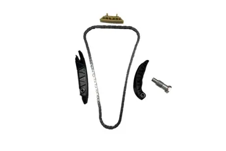 Комплект цепи ГРМ (Timing Chain Kit) (OE 03H 109 509) для Audi Q7 3.6 FSI, VW Passat B6/B7, EOS, Touareg, Škoda Superb II Borsehung B10256