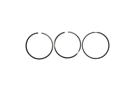 Кільця поршневі Audi 3.0L | Комплект Borsehung B10362 (фото 1)
