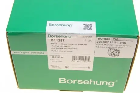 Маточина з підшипником задня з аксесуарами Borsehung B11287