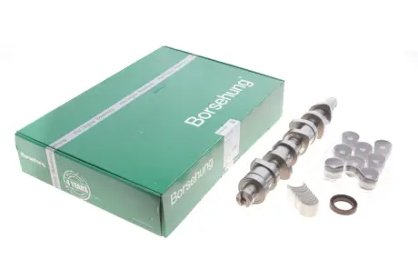 Комплект распредвала (OE: 038109101AH) для 1.9–2.0 TDI VW Audi Skoda (2003–2010) Borsehung B11307