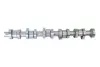 Распредвал (camshaft) для Volkswagen T5/Transporter/Multivan (R5 2.5 TDI, 2003–2010) и VW Touareg 2.5 TDI (OE 070 109 101 P) Borsehung B12299 (фото 1)