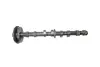 Распредвал впускной (camshaft inlet) для двигателей 1.8 TSI/FSI (VAG EA888) Borsehung B12413 (фото 1)