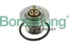 Термостат VW T4/T5/Audi A3/A6 1.9D/1.9/2.0TDI/2.0 90- (від 87 до 102 °C) (OE VAG) Borsehung B13141 (фото 8)