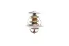 Термостат VW T4/T5/Audi A3/A6 1.9D/1.9/2.0TDI/2.0 90- (від 87 до 102 °C) (OE VAG) Borsehung B13141 (фото 4)