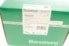 Насос гідропідсилювача керма Borsehung B13210 (фото 1)
