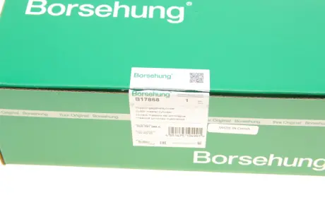 Циліндр зчеплення Borsehung B17868