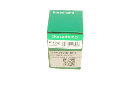 Датчик температури Borsehung B18252