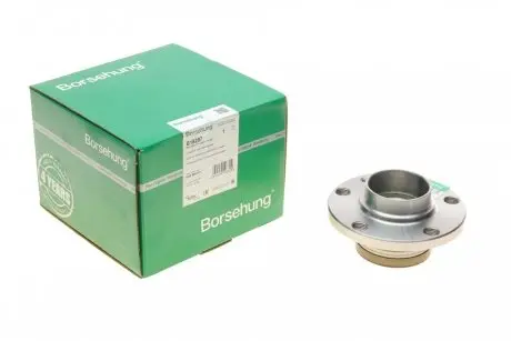 Подшипник ступицы (задняя) Skoda Fabia 99-/VW Polo 01- (OE VAG) Borsehung B18297