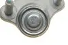 Опора кульова (передня/R) VW Caddy 03- Borsehung B18698 (фото 10)