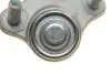 Опора кульова (передня/R) VW Caddy 03- Borsehung B18698 (фото 7)