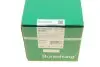 Комплект цепи ГРМ Skoda Fabia/Roomster/VW Polo 1.2 07- (OE VAG) Borsehung B18851 (фото 1)