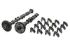 Комплект розподільного валу (camshaft kit) для Audi, VW, Škoda, SEAT (OE серії 06H 109 021J / 06H 109 022BA+ / 06H 109 022L …) Borsehung B19173 (фото 1)