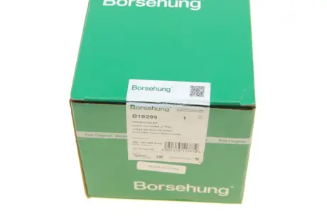 Поршень Borsehung B19299