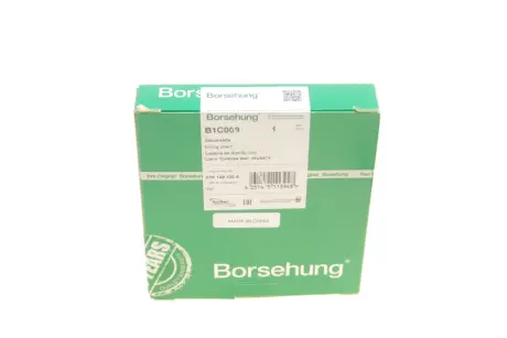 К-кт ланцюга привідного грм Borsehung B1C009