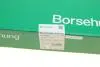 Планка успокоителя цепи ГРМ Citroen C4/C5/DS3/Peugeot 207/208/3008/308/508/5008 1.6 THP 06- Borsehung B1G054 (фото 5)
