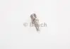 Розпилювач форсунок BOSCH 0433171433 (фото 1)