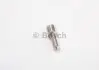 Розпилювач форсунок BOSCH 0433171576 (фото 1)