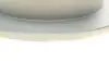 Диск тормозной (задний) Hyundai Accent III 05-10/Kia Rio II 05- (262x10) BOSCH 0 986 479 C08 (фото 3)
