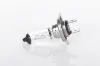 Автолампа H7 12V 55W PX26d Plus 50% BOSCH 1 987 302 079 (фото 1)