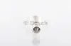 Автолампа C18W 12V 18W SV8.5-8 Pure Light (15.5x41) BOSCH 1 987 302 229 (фото 3)