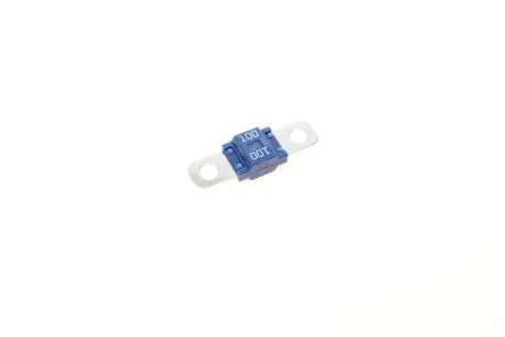 Запобіжник 100А 32V (Гвинтовий) BOSCH 1 987 531 011