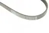 Ремінь генератора Ford Focus 2.5 ST 05-12/Mitsubishi Lancer 1.5/1.6 08- (5PK895) BOSCH 1 987 945 715 (фото 5)