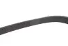 Ремінь генератора Land Rover Discovery 4.4 04-09/Range Rover 4.4 05-13 (8PK850) BOSCH 1987945723 (фото 3)