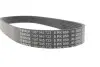 Ремінь генератора Land Rover Discovery 4.4 04-09/Range Rover 4.4 05-13 (8PK850) BOSCH 1987945723 (фото 4)