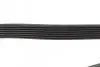 Ремінь генератора MB Sprinter 319-519CDI 18-/E-class (W212) 09-16/C-class (W204) 11-18 (7PK2045) BOSCH 1 987 945 738 (фото 3)