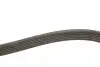 Ремінь генератора VW Caddy 1.9D/SDI -03 (6PK1038) BOSCH 1 987 946 000 (фото 3)