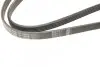 Ремінь генератора Toyota Avensis/Corolla 2.0D-4D 04-09 (5PK1250) BOSCH 1 987 946 001 (фото 4)