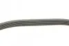 Ремінь генератора VW Caddy/Golf 1.9-2.0 TDI 03-10/Peugeot Boxer 2.8HDi 00- (6PK950) BOSCH 1 987 946 024 (фото 2)