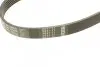 Ремінь генератора VW Caddy/Golf 1.9-2.0 TDI 03-10/Peugeot Boxer 2.8HDi 00- (6PK950) BOSCH 1 987 946 024 (фото 4)