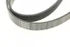 Ремень генератора BMW 3 (E90)/5 (E60)/7 (E65/E66/E67)/X5 (E70) 04-11 (6PK1990) BOSCH 1 987 946 028 (фото 5)